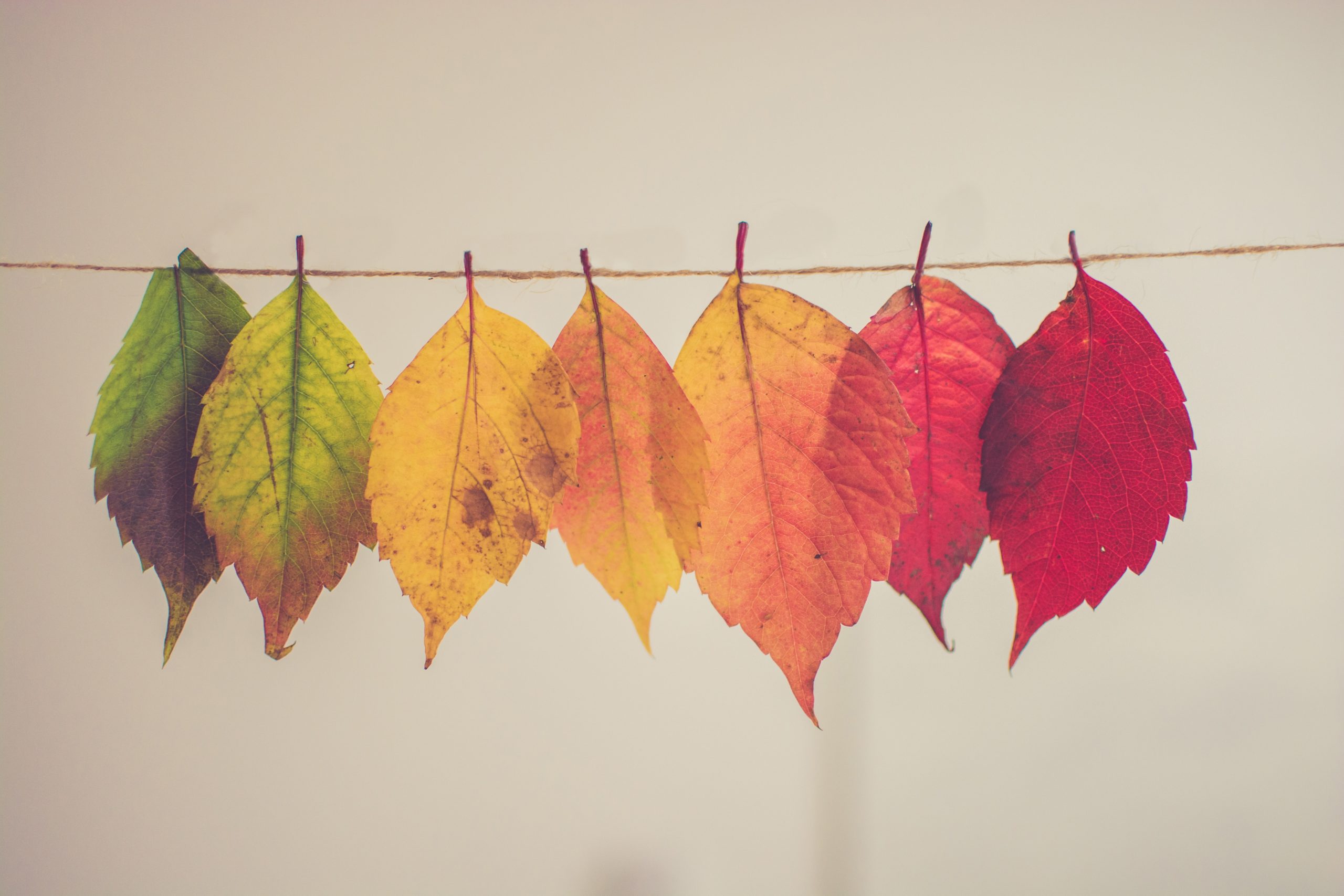 how to repurpose content
